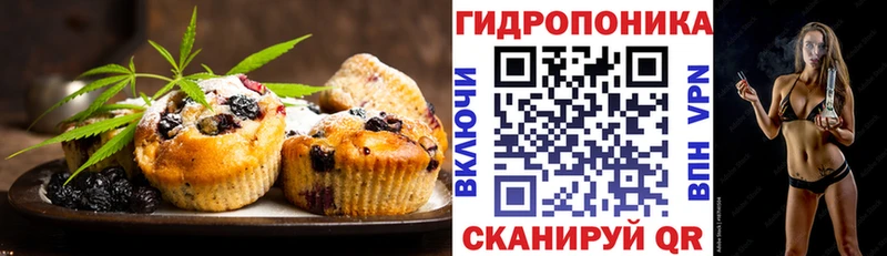 hydra ССЫЛКА  Юрга  Cannafood конопля 