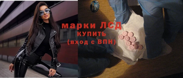 apvp Алзамай