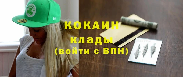 амф Новозыбков