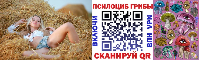 Галлюциногенные грибы MAGIC MUSHROOMS  Юрга 